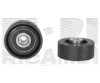 H.HESS/BUR C462 Tensioner Pulley, v-ribbed belt